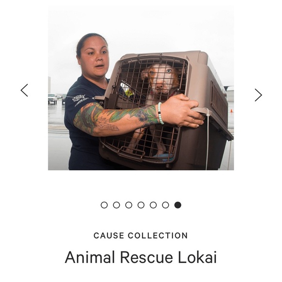 Animal Rescue Lokai - Picture 10 of 10